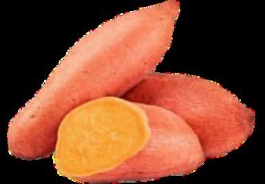 Batata