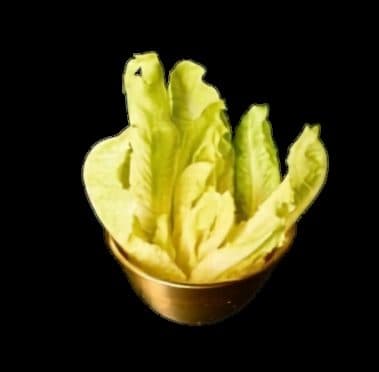 Lechuga