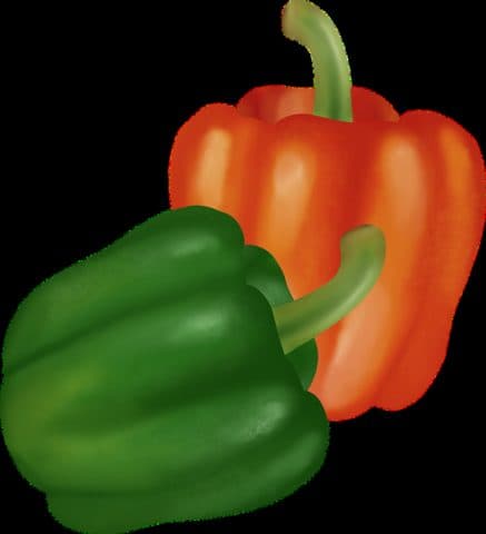 Pimiento rojo y verde